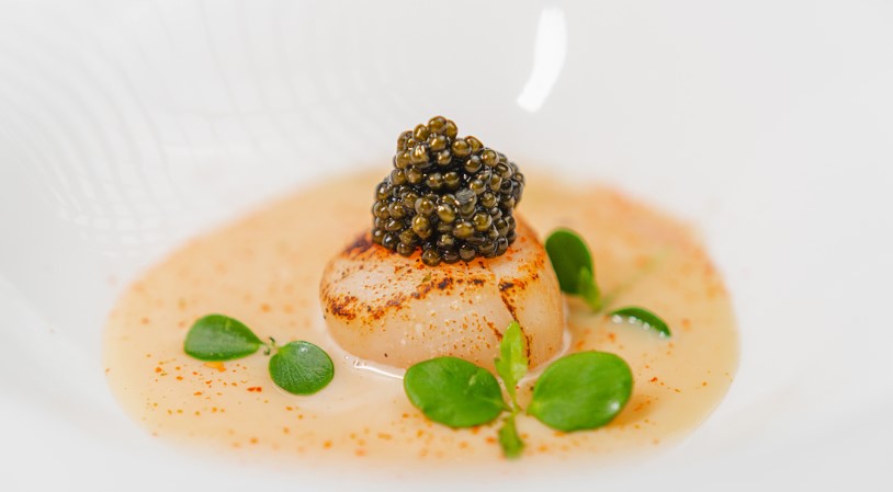 Cauliflower Velouté With Seared Scallop, Caviar and Shichimi – Attilus Caviar