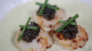 Scallops with White Wine Sauce and Attilus Caviar