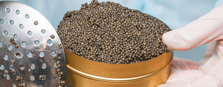 The Story of Caviar’s Comeback