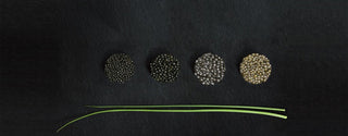 How to choose caviar | Best value for money | Buy online from the manufacturer 